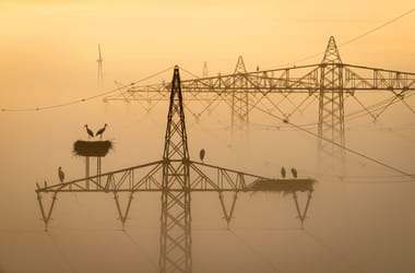 Thumbnail for 6822668