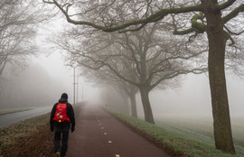 Thumbnail for 6822693