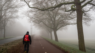 Thumbnail for 6822693