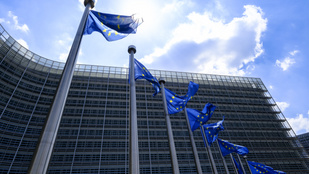 Thumbnail for 6822791