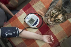 Thumbnail for 6823017