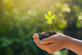 Thumbnail for 6823060