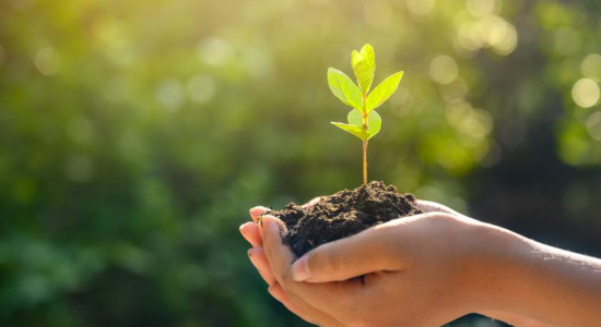 Thumbnail for 6823060