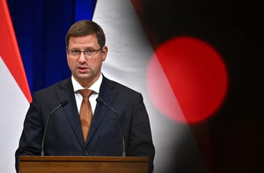 Thumbnail for 6823194