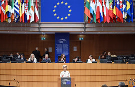 Thumbnail for 6823406