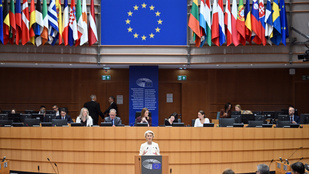 Thumbnail for 6823406