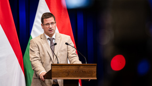 Thumbnail for 6823421