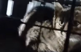 Thumbnail for 6823669