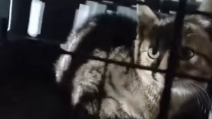 Thumbnail for 6823669