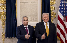 Thumbnail for 6823768