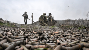 Thumbnail for 6823889