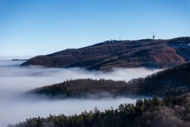 Thumbnail for 6823900