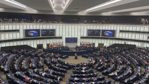 Thumbnail for 6824087