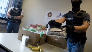 Thumbnail for 6824293