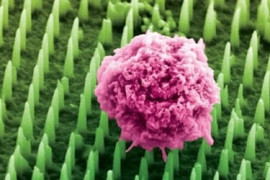 Thumbnail for 6824444