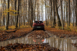 Thumbnail for 6824712