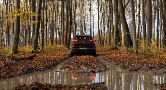 Thumbnail for 6824712