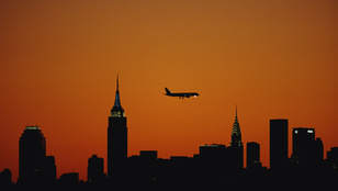 Thumbnail for 6824946