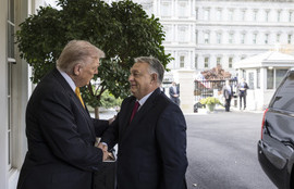 Thumbnail for 6825148