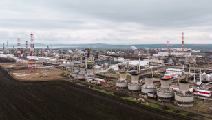 Thumbnail for 6825164