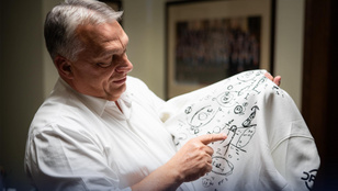 Thumbnail for 6825247