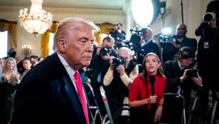 Thumbnail for 6825316