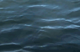 Thumbnail for 6825397