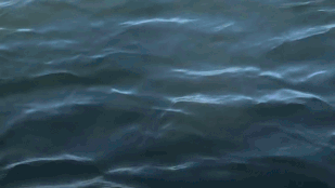 Thumbnail for 6825397