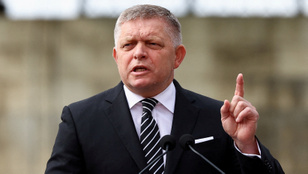 Thumbnail for 6825459