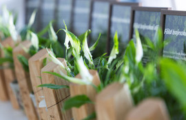 Thumbnail for 6825496