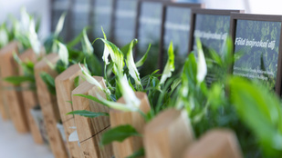 Thumbnail for 6825496