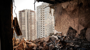 Thumbnail for 6825572