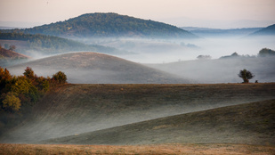 Thumbnail for 6825582