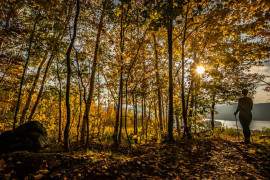 Thumbnail for 6825722