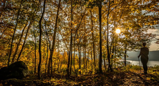 Thumbnail for 6825722