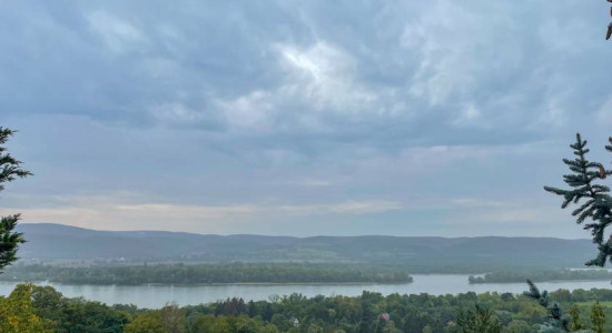 Thumbnail for 6825748