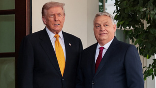 Thumbnail for 6825912