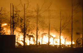 Thumbnail for 6825919