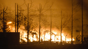 Thumbnail for 6825919