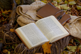 Thumbnail for 6825936