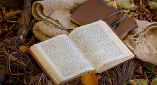 Thumbnail for 6825936