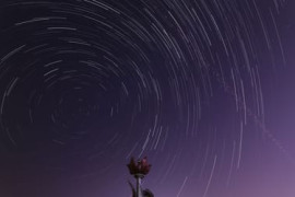 Thumbnail for 6825944