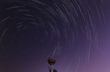 Thumbnail for 6825944