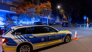 Thumbnail for 6826094