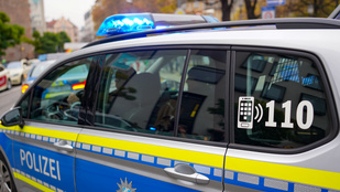 Thumbnail for 6826172