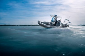 Thumbnail for 6826320