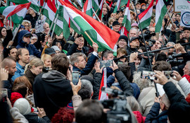 Thumbnail for 6826396