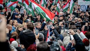 Thumbnail for 6826396