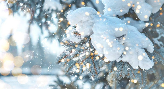 Thumbnail for 6826546