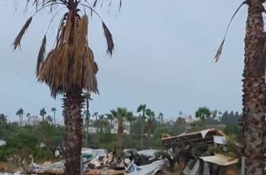 Thumbnail for 6826554